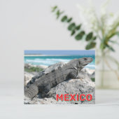 Carte Postale L'Iguana Noire À La Queue Au Mexique (Debout devant)