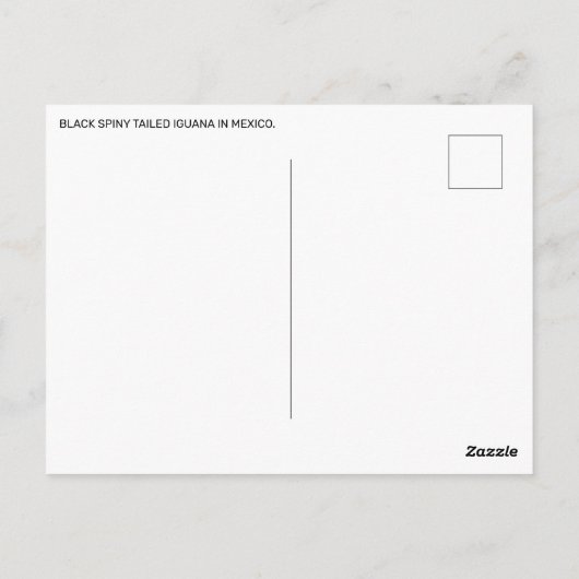 Carte Postale L'Iguana Noire À La Queue Au Mexique (Dos)