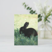 Carte Postale Lil Black Bunny (Debout devant)
