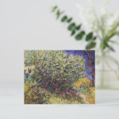 Carte Postale Lilac Bush Paysage Vincent van Gogh (Debout devant)