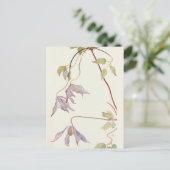 Carte Postale Lilac Clematis par Margaret Armstrong (Debout devant)