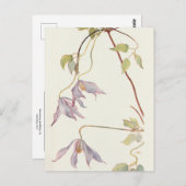 Carte Postale Lilac Clematis par Margaret Armstrong (Devant / Derrière)