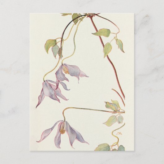 Carte Postale Lilac Clematis par Margaret Armstrong (Devant)