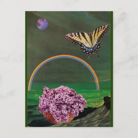 Carte postale Lilac Dreams (Devant)