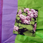 Carte Postale Lilac Love