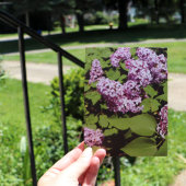 Carte Postale Lilac Love