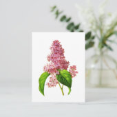 Carte Postale Lilac par Pierre Joseph Redoute (Debout devant)