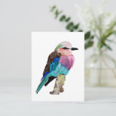 Carte Postale Lilac Roller Breast Bird (Debout devant)