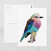 Carte Postale Lilac Roller Breast Bird (Devant / Derrière)
