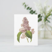 Carte Postale lilac (Syringa sp.) par Redouté (Debout devant)