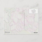 Carte Postale Lilacs en Oregon (Dos)