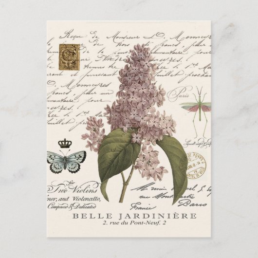 Carte Postale Lilacs français vintages modernes (Devant)
