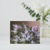 Carte Postale Lilacs vintages (Debout devant)
