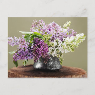 Carte Postale lilas