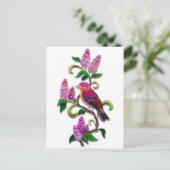 Carte Postale lilas (Debout devant)