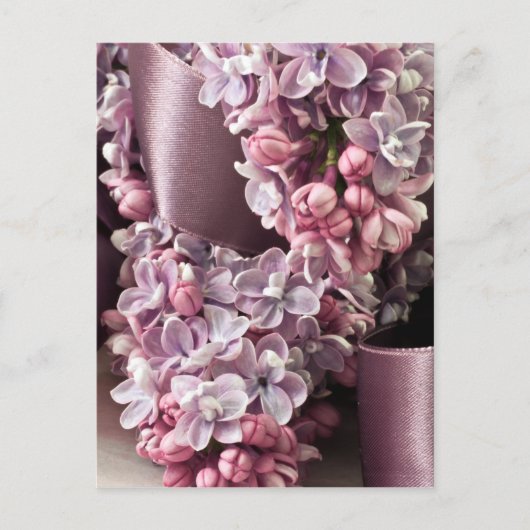 Carte Postale Lilas Et Boucles De Ruban (Devant)