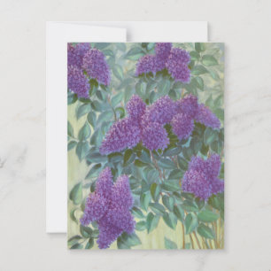 Carte Postale Lilas pourpre de Cargill, 1937