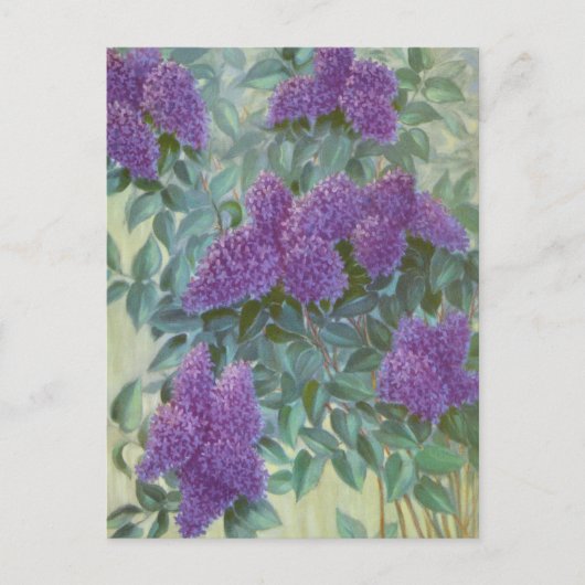 Carte Postale Lilas pourpre de Cargill, 1937 (Devant)