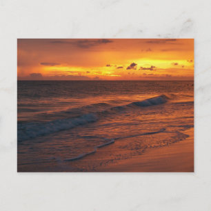 Carte Postale L'île Anna Maria, FL