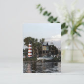 Carte Postale L'île aux singes (Debout devant)