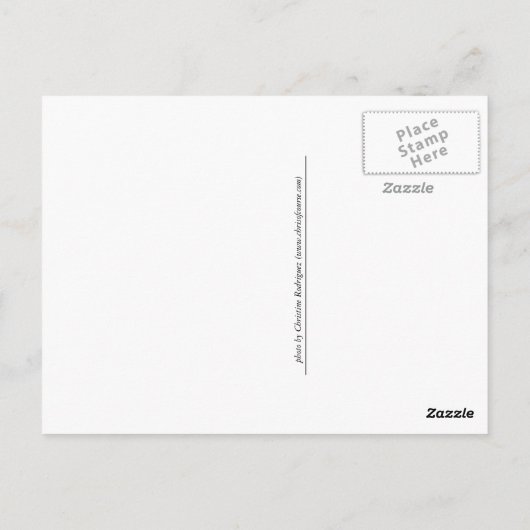 Carte Postale L'île Charles (Dos)