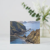Carte Postale L'île d'Anacapa (Debout devant)