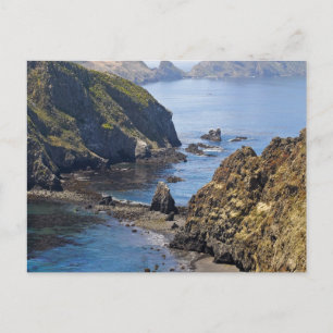 Carte Postale L'île d'Anacapa