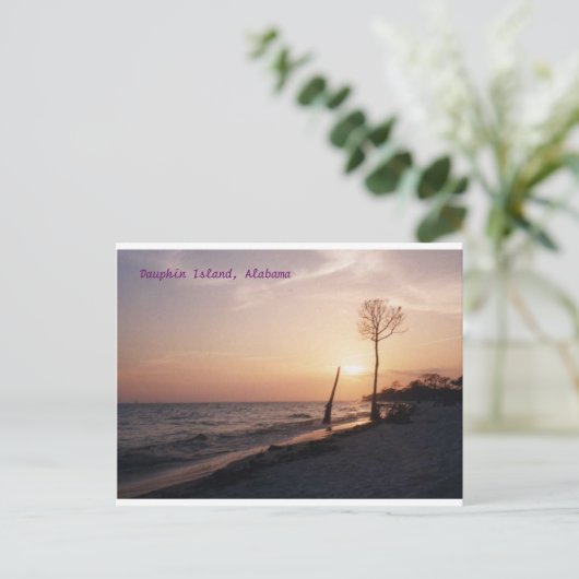 Carte Postale L'île Dauphin (Debout devant)