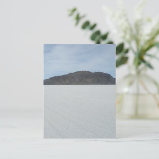 Carte Postale L'île de Cactus (Debout devant)