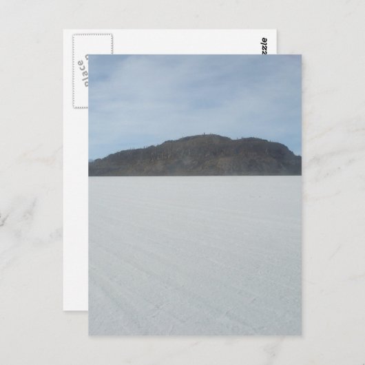 Carte Postale L'île de Cactus (Devant / Derrière)