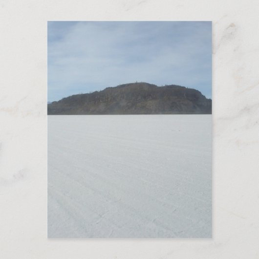 Carte Postale L'île de Cactus (Devant)