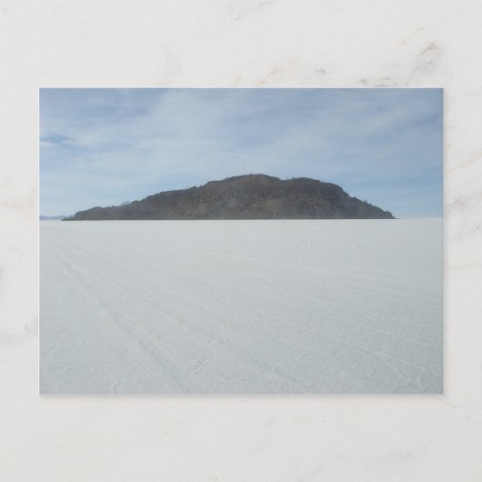 Carte Postale L'île de Cactus (Devant)