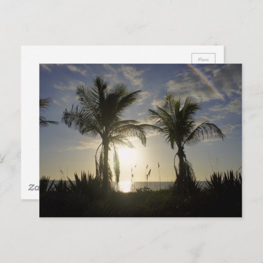 Carte Postale L'île de Captiva (Devant / Derrière)