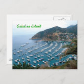 Carte Postale L'île de Catalina (Devant / Derrière)