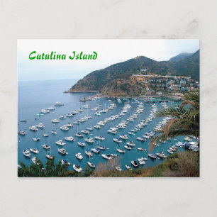 Carte Postale L'île de Catalina