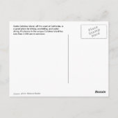 Carte Postale L'île de Catalina (Dos)