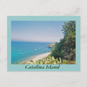 Carte Postale L'île de Catalina