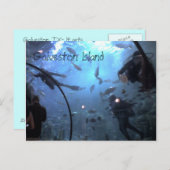 Carte Postale L'île de Galveston (Devant / Derrière)