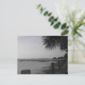 Carte Postale L'île de Jekyll (Debout devant)