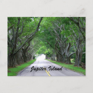 Carte Postale L'île de Jupiter
