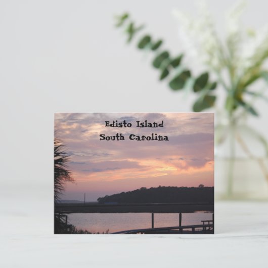 Carte Postale L'île d'Edisto (Debout devant)