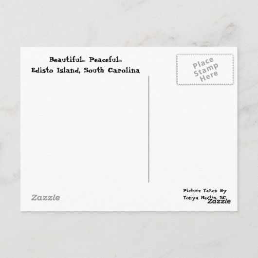 Carte Postale L'île d'Edisto (Dos)