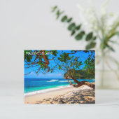 Carte Postale L'île des Maldives (Debout devant)