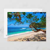 Carte Postale L'île des Maldives (Devant / Derrière)