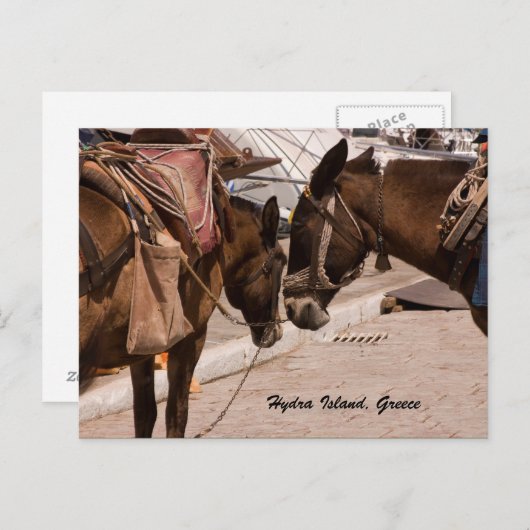 Carte Postale L'île d'Hydra, Grèce (Devant / Derrière)
