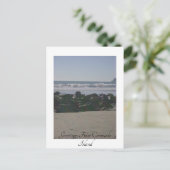 Carte Postale L'île du Coronado (Debout devant)