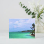 Carte Postale L'île tropicale (Debout devant)