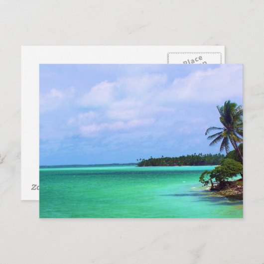 Carte Postale L'île tropicale (Devant / Derrière)