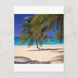 Carte Postale L'île tropicale à sept milles Grand Cayman