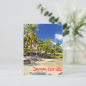 Carte Postale L'île tropicale aux îles Caïmans (Debout devant)